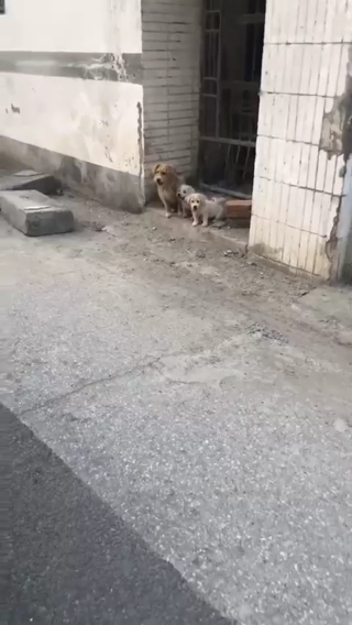 希望你母子三个也能有好心人愿意给你们一个家