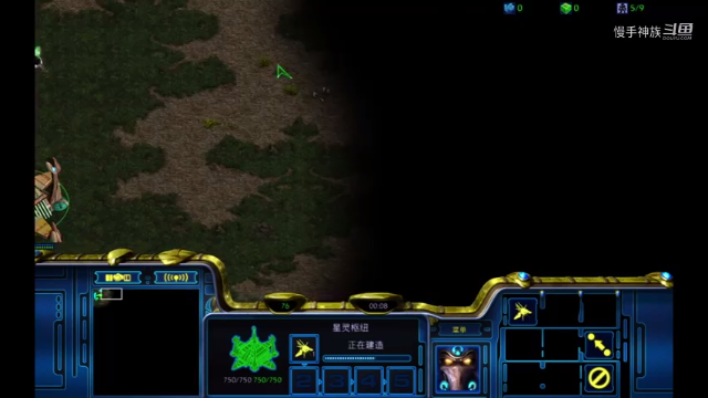 星际争霸pvt 双甲虫优势局