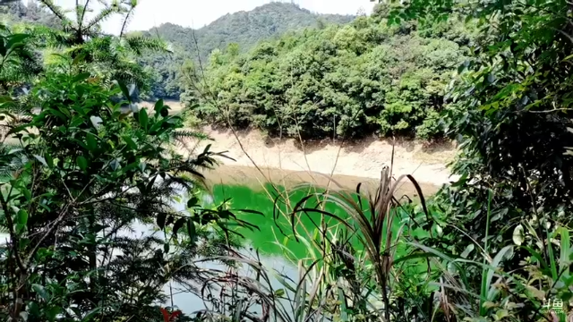 【2021-06-25 14点场】中华户外钓鱼：买螺丝。水库选点。