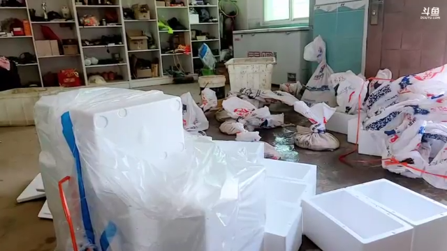 【2021-06-25 12点场】洪湖小肖：12点上线