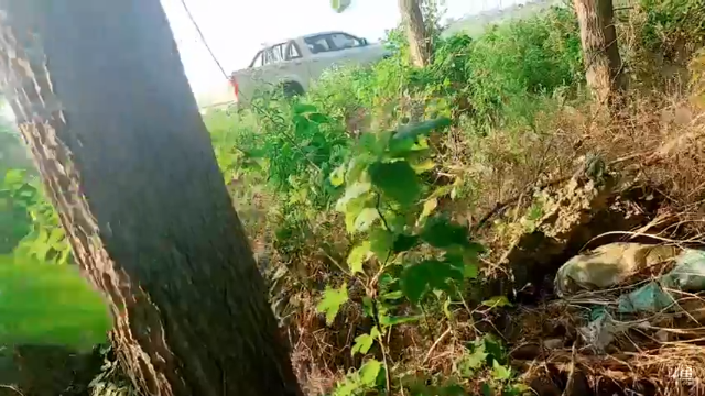 【2021-06-25 17点场】洪湖小肖：12点上线