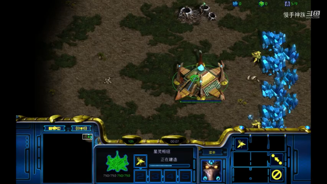 星际争霸慢手神族pvt