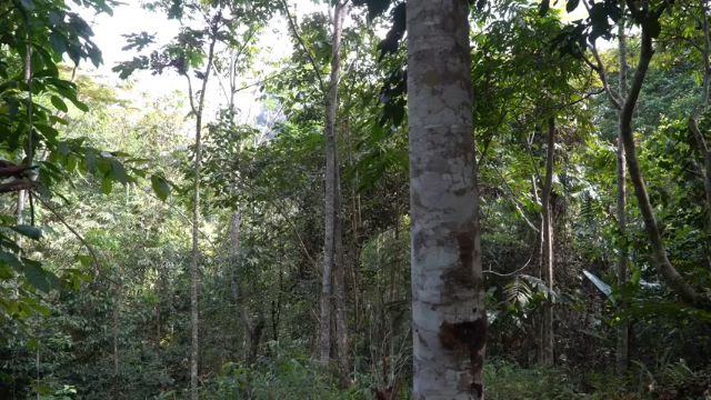 第三季2k蓝光 E117大水车【(1)真人我的世界-空手发展-单人炼铁】