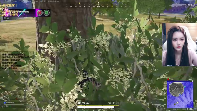 【2021-06-26 14点场】野生小师妹：PUBG气人女主播