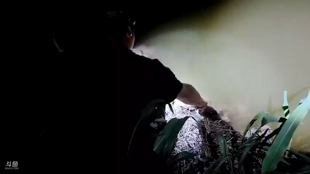 【2021-06-25 21点场】洪湖小肖：12点上线