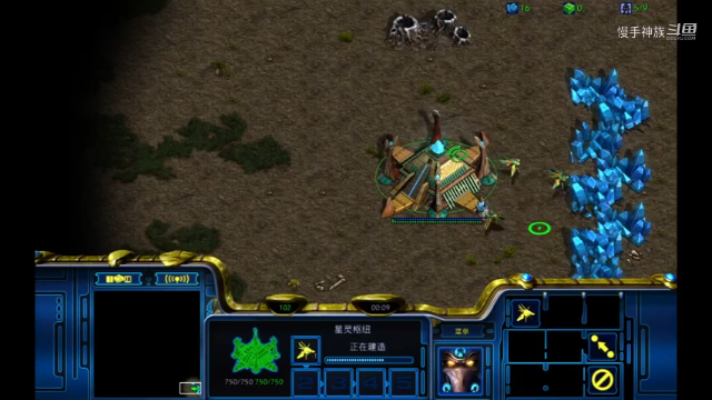 星际争霸pvz 天地双轨