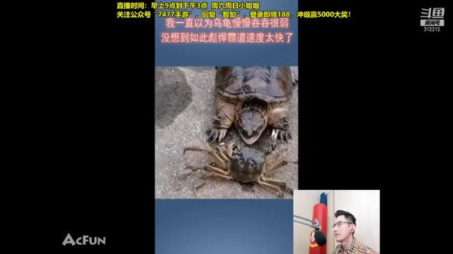 中单潘森，简直无敌，见人上去就是一套戳