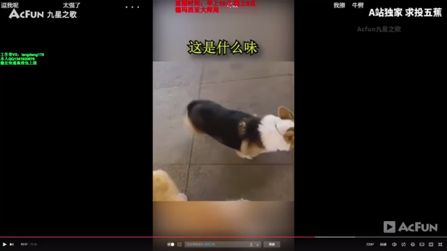 代入感很强，我已经想替对面卸载游戏了，21杀打野赵信，简直就是对面的噩梦