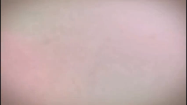 率土世界杯，泡菜带来最新避坑指南！.mov