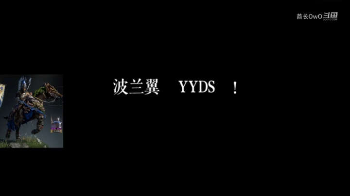 波兰翼 YYDS !