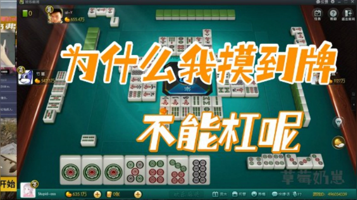 小团团：为什么我摸到牌不能杠呢