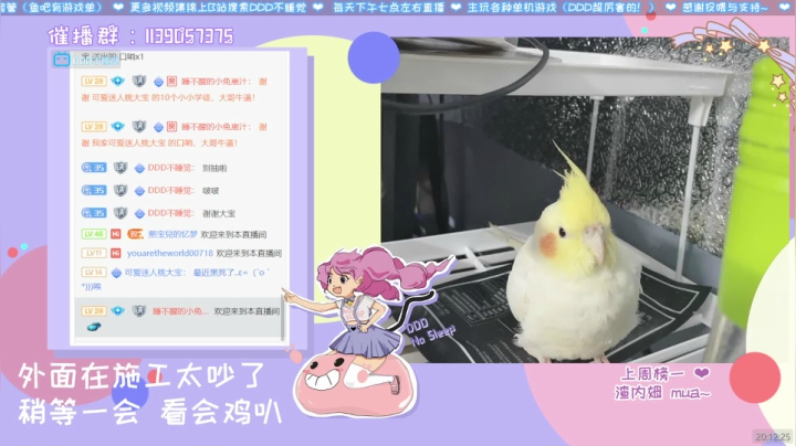 【2021-06-26 19点场】【DDD】塞尔达完结 黄鸡代播