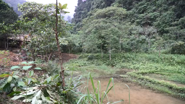 第三季2k蓝光 E121独轮车【(1)真人我的世界-空手发展-单人炼铁】