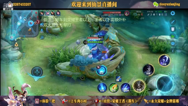露娜始终如一的强