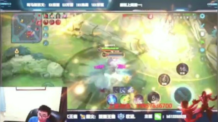 蓝羽带粉集锦
