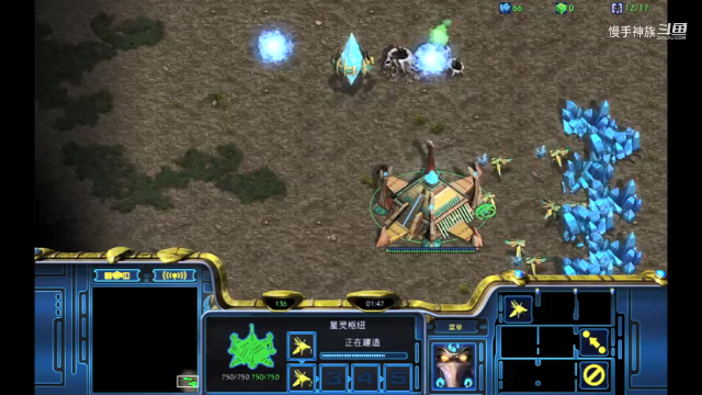 星际争霸pvt限制经济