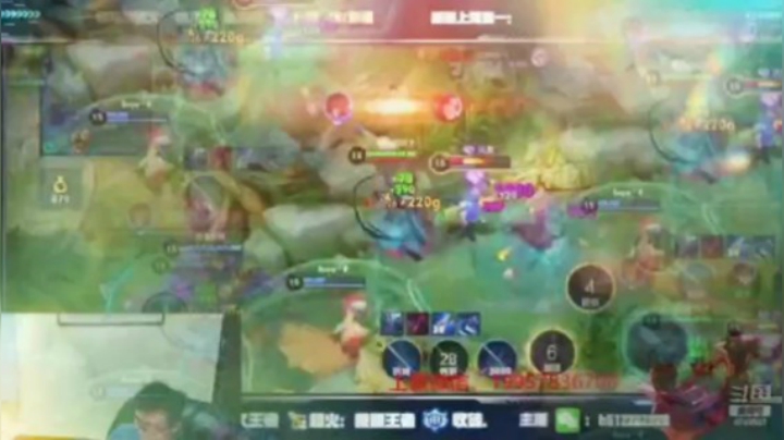 蓝羽带粉集锦