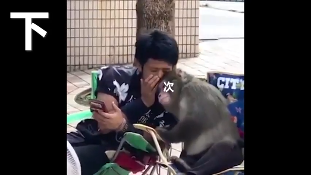 【猴哥】偷家破艦者横空出世！四秒推一塔！一波会战全部拆光光！上路地位神级提升！