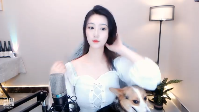 美女直播的时候宠物狗也来上镜