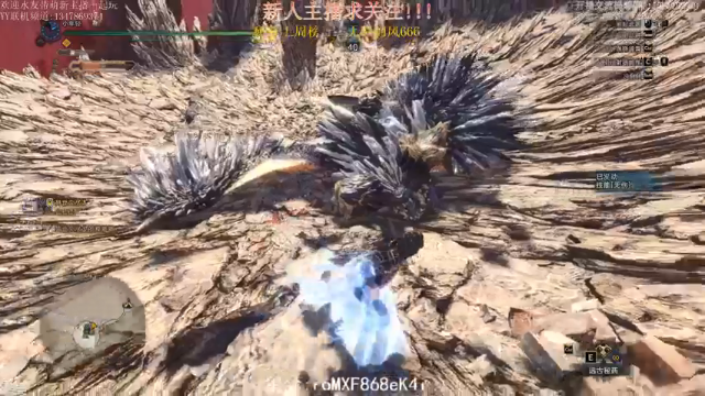 【2021-06-27 20点场】小年轻Chx：新手猎人上路了！！！
