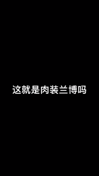 这就是肉装兰博吗