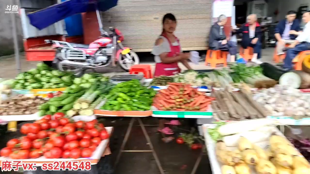 我在斗鱼看叶子户外直播户外