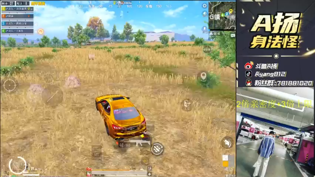 【2021-06-29 08点场】A扬丷：《神仙打架 开锤》