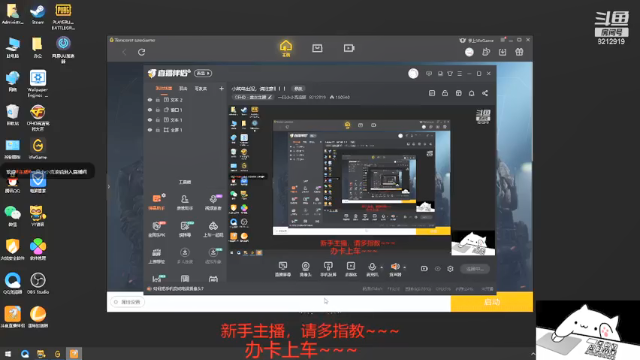 【2021-06-29 19点场】一只小小流浪猫：小菜鸟出没，请注意！！！