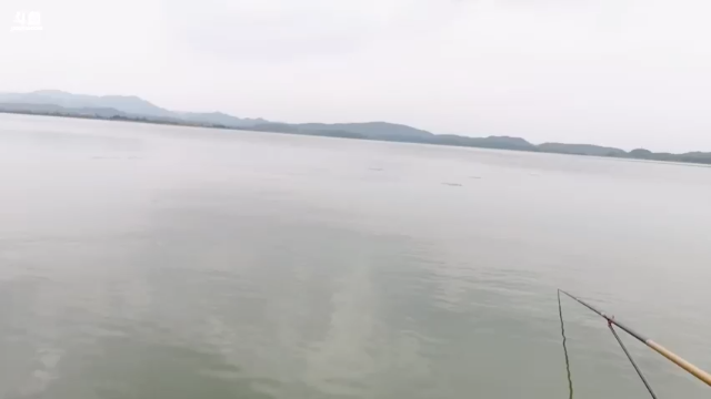 【2021-06-29 16点场】石页的第一根矛s：石页:户外钓鱼