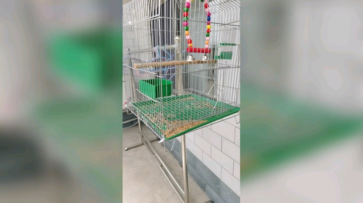 正经人令北发布了一个斗鱼视频2021-06-29