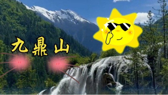 美丽的九鼎山花海，绚丽高山草甸花海，户外徒步露营爱好者圣地