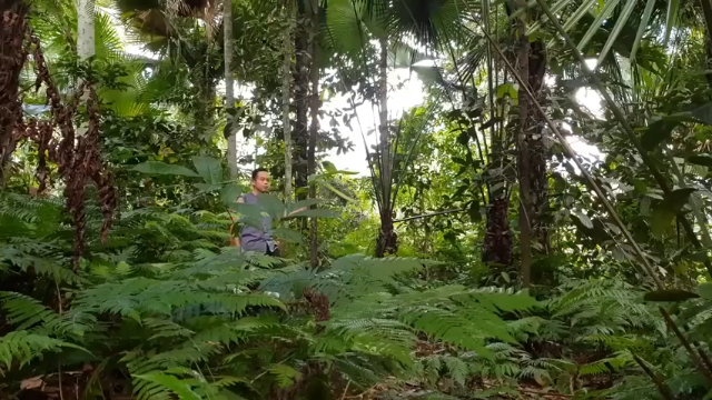 第一季 P22_原始技能：高跷原始
