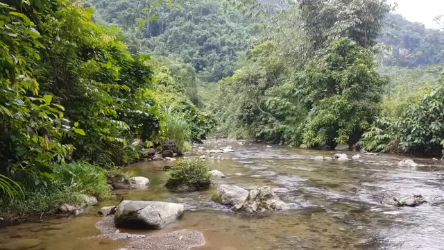 第一季 P24_原始技能：寻找食物和烹饪原始方式（原始技术食物）