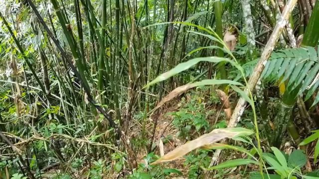 第一季 P14_原始技术：水杯