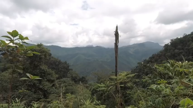 第一季 P4_原始技能：竹席【真人我的世界-空手发展-单人炼铁】