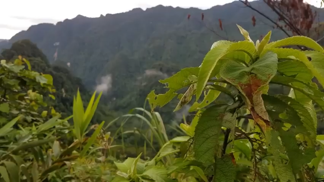 第一季 P19_原始技能：捕鼠陷阱