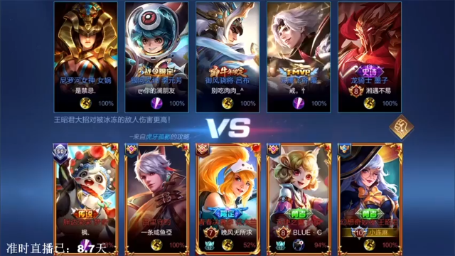 战略型法师王昭君，为队友提供优质的游戏环境
