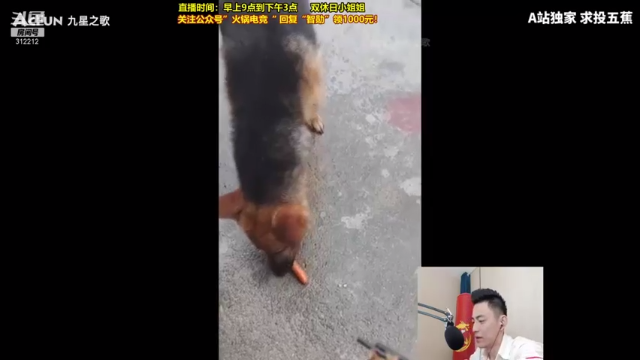 刀锋之影无人能挡豪取12人，和队友一起成功推塔
