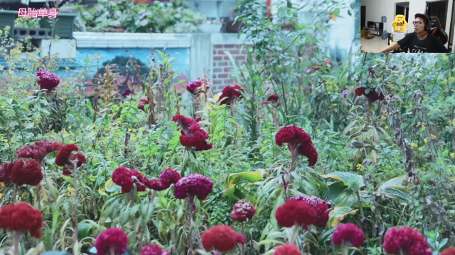 【2021-06-30 20点场】余小C真的很强：余小C：娱乐主播，理解一下