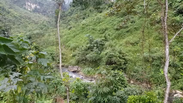 第一季 P23_原始技能：原始称