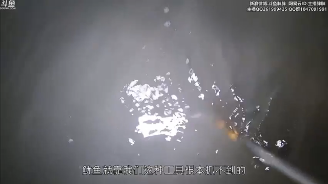 【2021-06-30 02点场】胖胖灬：胖胖OB：TES\RNG\EDG\开打！