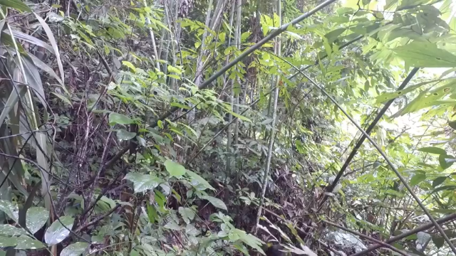 第一季 P8_基本技能：淡水鱼陷阱【真人我的世界-空手发展-单人炼铁】