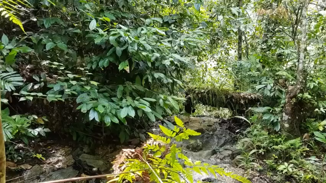 第一季 P16_原始技术：原始木炉