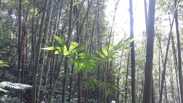 第一季 P7_原始技能：用竹子制成的弓箭【真人我的世界-空手发展-单人炼铁】