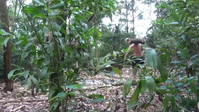 第二季我的户外 隐匿豪宅(9)胖虎第二季 基地改造总结 不回去