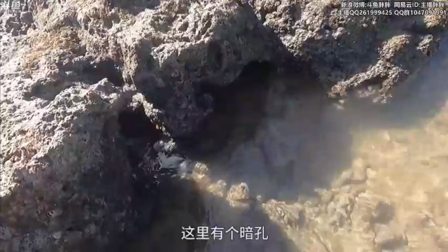 【2021-07-01 02点场】胖胖灬：胖胖OB：TES\RNG\EDG\开打！