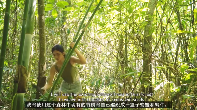 P2_用竹编的竹篓捕捉小溪螃蟹求生(2)妹子 野外  利用原始技术 求生，麻烦投个币吧