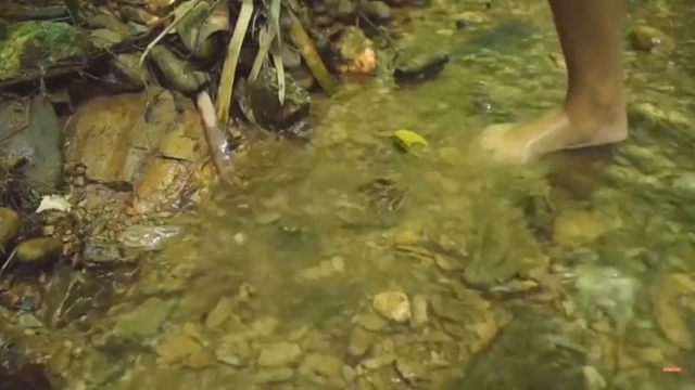 P2_用竹编的竹篓捕捉小溪螃蟹求生(7)妹子 野外  利用原始技术 求生，麻烦投个币吧