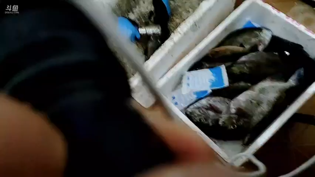 【2021-07-02 21点场】海道丶：超级巨物……
