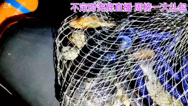 【2021-07-02 00点场】海道丶：坐等巨物……